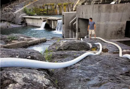  ?? Photos by Michael Macor / The Chronicle ?? Damon Goodman, fish biologist with the U.S. Fish and Wildlife Service, oversees a system of PVC tubes designed to help the lampreys, below, make their way up the Lake Arsdale Dam along the Eel River in Mendocino County.