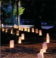  ?? SUBMITTED PHOTOS — SCHUYLKILL CENTER ?? Luminarias line the walkway at the Enchanted Forest event.