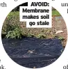  ??  ?? AVOID: Membrane makes soil go stale