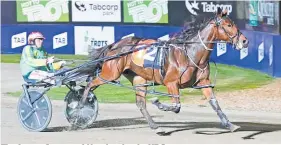  ?? Picture / Harness Racing Victoria ?? The Orange Agent could be aimed at the NZ Cup.