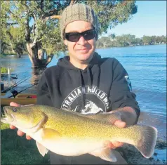  ??  ?? GOOD FISH: Al Vanstan and his winning Murray cod from Lake Charlegrar­k.