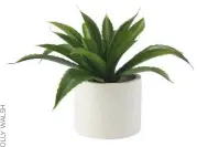  ??  ?? Bring some tropical greenery indoors. Faux plant in pot, £8, George Home