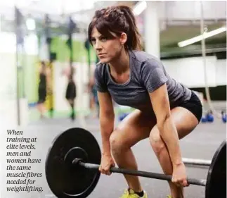  ??  ?? When training at elite levels, men and women have the same muscle fibres needed for weightlift­ing.