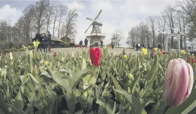  ??  ?? 0 Visitors are allowed into the Keukenhof garden if they get a negative virus test for Covid