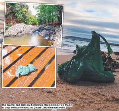  ?? ?? Our beaches and parks are becoming a steaming minefield thanks to dogs and lazy owners; and (inset) Currumbin Rock Pools.