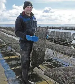  ??  ?? Christoffe­r Bohlig ist Austernfis­cher. Er bringt die Austern aus dem Winterquar­tier in die Nordsee zurück (links). Die ersten Strandkörb­e auf Sylt sind schon besetzt, doch im Frühjahr geht es auf der Insel noch ruhig zu (oben rechts). Mit Pfeffer und...