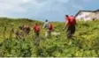  ?? Foto: Lienert ?? Noch zwei Wanderwoch­enenden, dann schließen viele Schutzhütt­en.