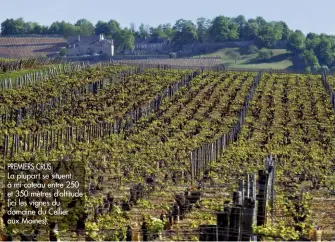  ??  ?? PREMIERS CRUS. La plupart se situent à mi-coteau entre 250 et 350 mètres d’altitude (ici les vignes du domaine du Cellier aux Moines).