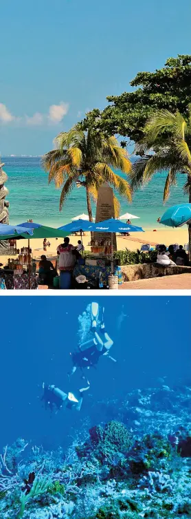  ??  ?? Em Playa del Carmen, à esquerda, o agito é sempre garantido e abaixo mergulho nos acerrifes de corais de Cozumel