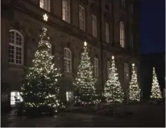  ?? PRIVATFOTO ?? Sådan så Pias juletræer på Slotsplads­en ud.