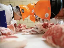  ?? Tribune News Service ?? ■ University of Florida meat judging team members, including senior Allison Conchiglia, left, practice judging specificat­ions at Penn State University’s meats lab in State College, Pa.