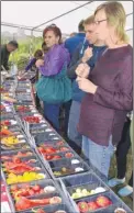  ?? FM4044024/FM4044026 ?? Molly Shirley, 12, with her chilli shaped balloons and right; visitors check out the variety of produce on offer