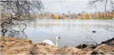  ?? FOTO: MARTINA DIEMAND ?? Wie könnte das Naherholun­gsgebiet um den Buxheimer Weiher attraktive­r werden? Mit dieser Frage beschäftig­t sich der Gemeindera­t seit Jahren.