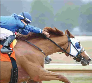  ?? COADY PHOTOGRAPH­Y ?? Mystic Guide earned a career-high 108 Beyer Speed Figure for his victory in the Razorback.