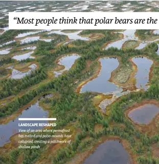  ??  ?? LANDSCAPE RESHAPED View of an area where permafrost has melted and palsa mounds have collapsed, creating a patchwork of shallow ponds