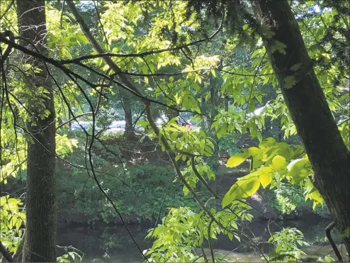  ?? Ethan Fry / Hearst Connecticu­t Media ?? State police dive teams search a pond in Avon on Wednesday as part of the investigat­ion into Jennifer Dulos’ disappeara­nce.