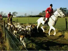  ?? (AFP/Getty) ?? A huntsman on a fox hunt in Higham, Suffolk, in 2001