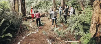  ?? CHRIS THORN PHOTOGRAPH­Y ?? Wisqii, left, leads a tour of Kiixin Village and tells the history of the Huu-ay-aht.