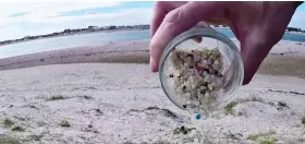  ??  ?? Menace: Just few of the thousands of pellets at Hayling Island