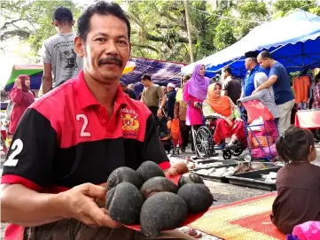  ??  ?? Safri shows the apple snails that he sells at his stall in Pekan Sehari Temerloh. — Bernama photo