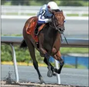  ?? PROVIDED PHOTO ?? Dream It Is is coming down from Toronto to compete in the Schuylervi­lle Stacks at Saratoga Race course.
