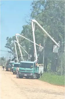  ??  ?? En esta zona de Limpio cayeron siete plantas de eucalipto sobre la línea de baja tensión y tuvieron que cambiar 10 columnas.