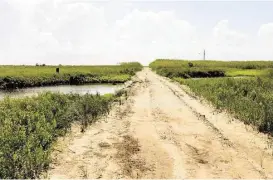  ?? Kim Christense­n / For the Chronicle ?? Big Reef Park includes coastal wetlands, prairie and beachfront property. It is a habitat for a variety of birds.