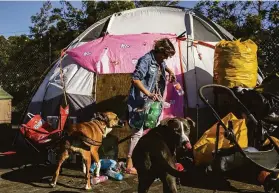  ?? Brontë Wittpenn / The Chronicle ?? Tammy Daskam, 54, walks out of her tent in a parking lot near the Oakland Coliseum with her dogs Pretty Girl and Blue. She and other pet owners would benefit from a proposed law helping homeless people care for their animals.