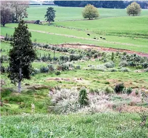  ?? GERALD PIDDOCK/STUFF ?? Satellite imagery was used to assess the amount of native vegetation on sheep and beef farms.