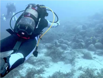  ??  ?? GOING DOWN: Scuba divers visit the underwater museum in the Aegean Sea, off the coast of the Greek island Alonissos on July 20. Resting at a near 30 metre depth for almost 2,500 years the Peristera shipwreck opened to recreation­al scuba divers during the summer of 2020.