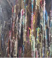  ??  ?? Rosaries left by devotees on a tree’s branches at the Padre Pio center.