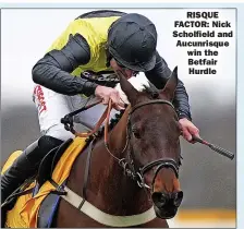  ?? ?? RISQUE FACTOR: Nick Scholfield and Aucunrisqu­e win the Betfair Hurdle