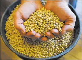  ?? Charlie Neibergall ?? The Associated Press After China all but stopped buying U.S. soybeans, farmers need to determine how to store a potentiall­y 1 billion-bushel surplus until it can be sold at a decent price.