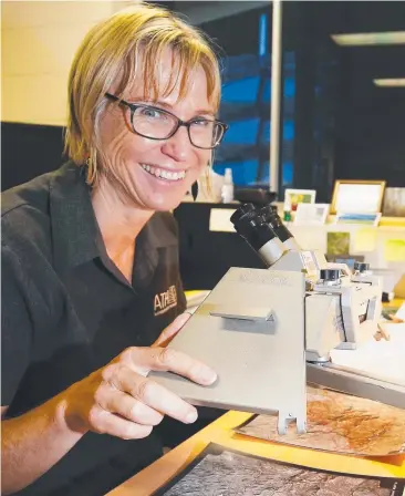  ??  ?? RESEARCH: Principal botanist Eda Addicott is one of the longest serving staff at the Australian Tropical Herbarium, which is marking 10 years at James Cook University.