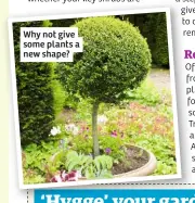  ??  ?? Why not give some plants a new shape? remove, reform or revive.