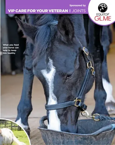  ??  ?? What you feed your horse can help to keep him healthy