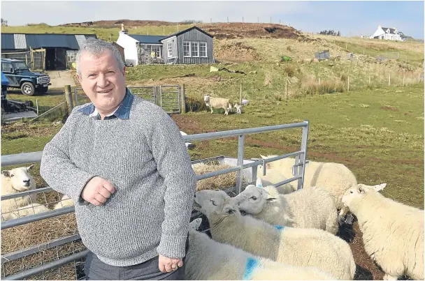  ?? Photograph­s by Sandy McCook ?? ON THE LAND: Skye and Lochaber MP Iain Blackford at home, lambing, on his croft in Knockbreck, on the Waternish peninsula of Skye.