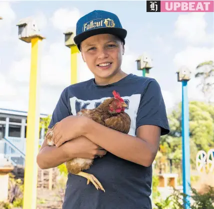  ??  ?? Damian Traill, 12, has researched and planned how to home chooks at Waitoki Primary.