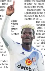  ??  ?? Didier Ndong is a target for Benfica