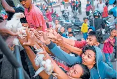  ??  ?? Sobrevivie­ntes intentan obtener en Palu uno de los pollos que la policía distribuye como parte de la ayuda a la población.