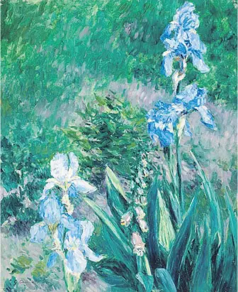  ??  ?? Gustave Caillebott­e’s Iris bleus, jardin du Petit Gennevilli­ers, oil on canvas 1892.