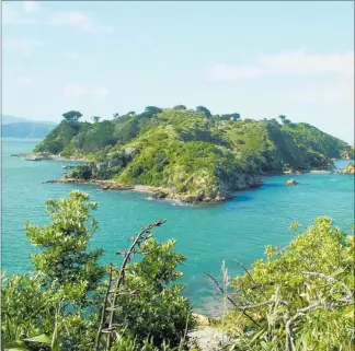  ?? PHOTO / FILE ?? The Whanganui Summer Programme includes a trip to Matiu Somes Island on Sunday, January 3.