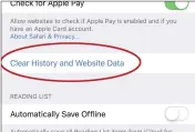  ??  ?? Clearing your Safari data might reduce the size of Other.