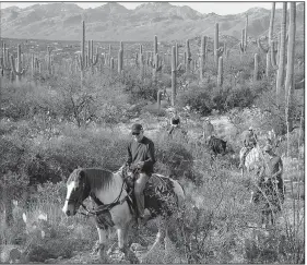  ??  ?? The writer’s father, George Fink, leads the pack on a family trail ride through the Arizona desert during a stay at Tanque Verde Ranch.