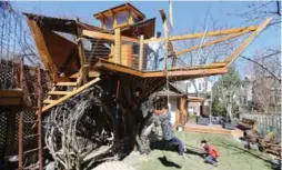  ?? STEVE RUSSELL/TORONTO STAR ?? John Alpeza spent six years building an elaborate treehouse for his children.