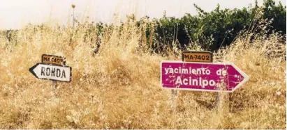 ??  ?? Der Weg nach Acinipio führt an Getreide- und Weinfelder­n vorbei.