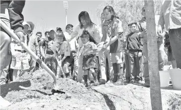  ??  ?? La presidenta municipal en la campaña de reforestac­ión / SOFY Ramírez