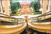  ?? Joe Amarante / Hearst Connecticu­t Media ?? Curved escalators (estimated at more than $5 million alone) lead the eye to the hotel lobby's signature Wynn carousel and live flowers.