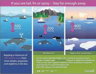  ?? SUBMITTED IMAGE BY FISHERIES AND OCEANS CANADA ?? DFO has outlined new regulation­s for the safe distance between boats and marine mammals.