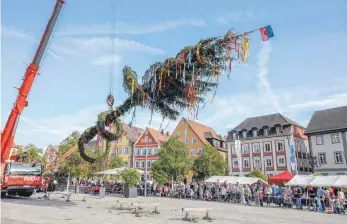  ?? FOTO: THOMAS SIEDLER ?? Unter den Augen vieler Zuschauer hat die Feuerwehr den 30. Maibaum aufgestell­t.